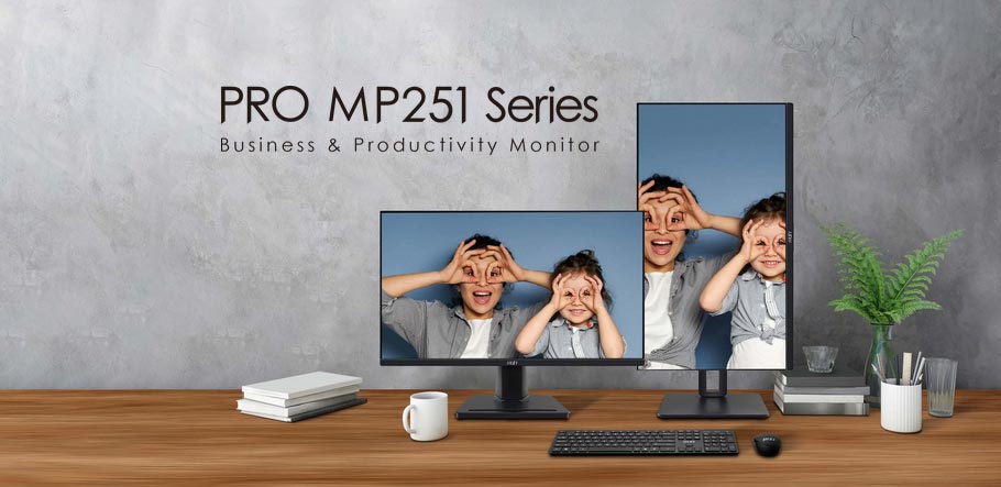 MSI PRO MP251 IPS 100Hz Moniteur | PRO-MP251